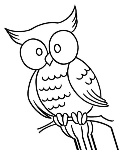 Сова рисунок для детей