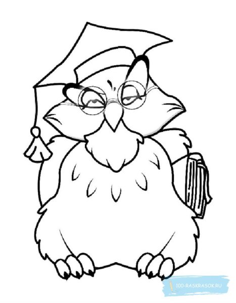 Сова рисунок