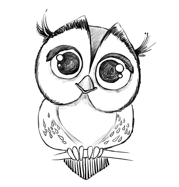 Поэтапное рисование Совы