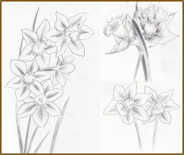 Рисование цветов для детей