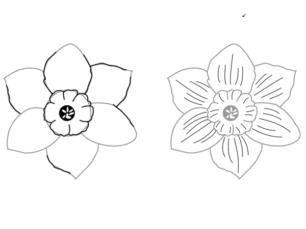 Нарцисс раннецветущее растение