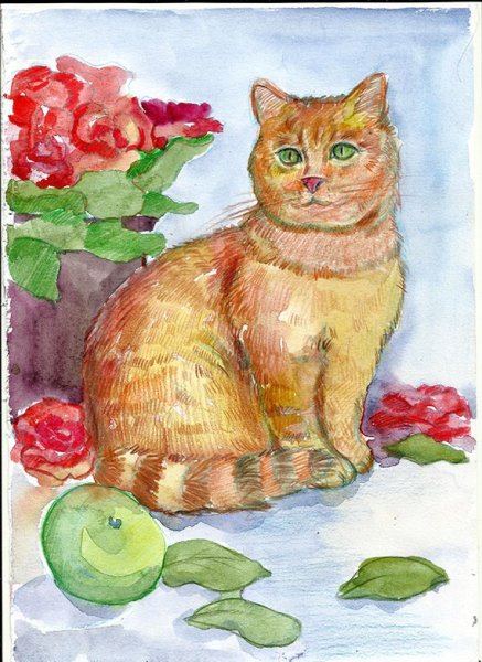 Кошка цветными карандашами