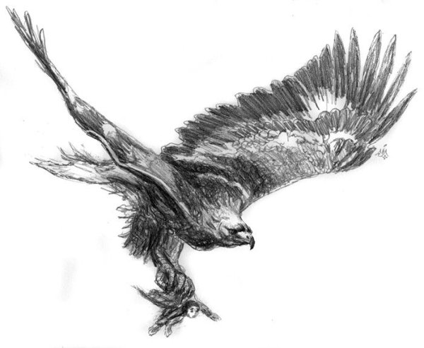 Сокол в полете эскиз