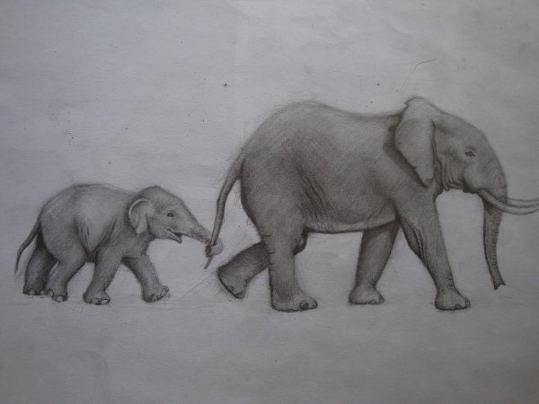 Милый Слоник рисунок