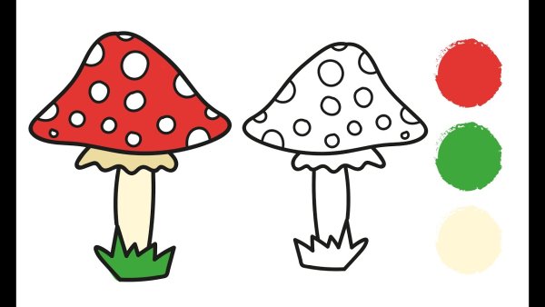 Мухомор рисунок