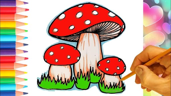Грибы для срисовки легкие