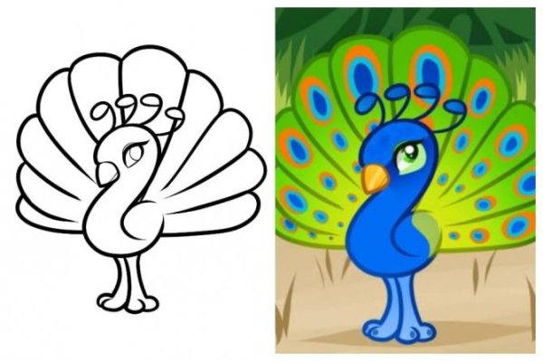 Рисование с детьми Павлин