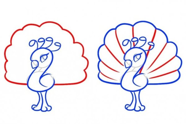 Павлин. Раскраска