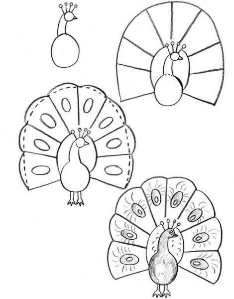 Поэтапто рисование жарпиицы