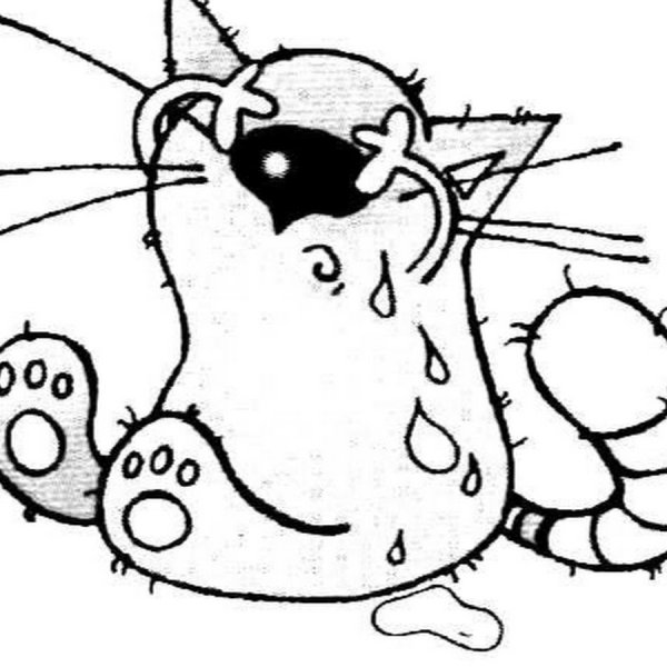 Кот заплакал фразеологизм