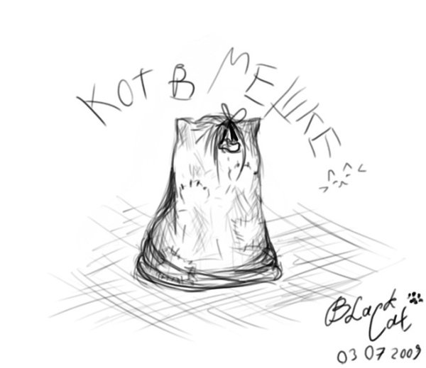 Кот наплакал иллюстрация