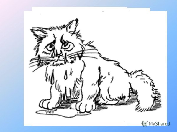 Кот наплакал фразеологизм