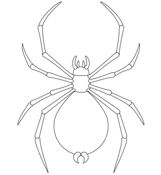 Нарисовать паука