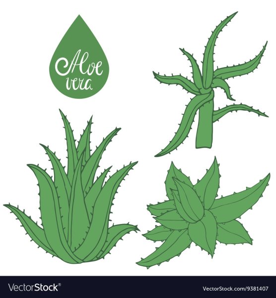 Цветок в горшке карандашом