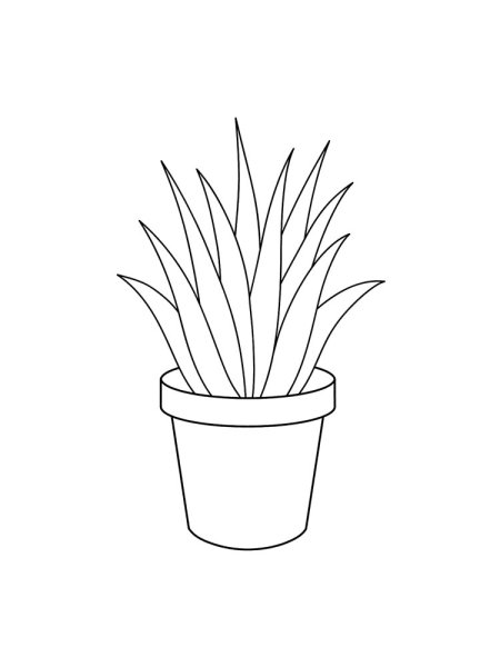 Поэтапное рисование комнатных растений