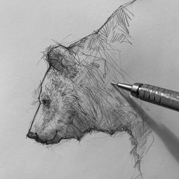 Художник Efrain malo