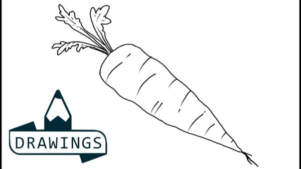 Морковь карандашом