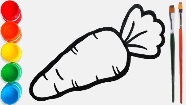 Морковь для срисовки