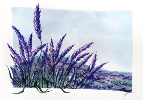Лаванда простым карандашом