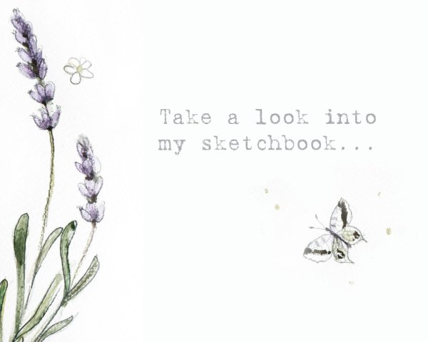 Лаванда раскраска