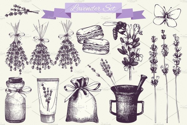 Рисунки лаванды для срисовки