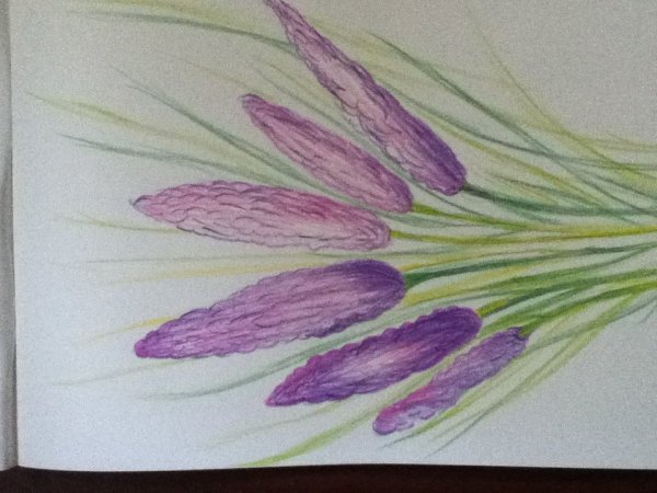 Рисование пастелью для начинающих