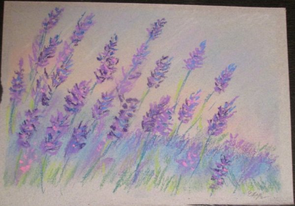 Лаванда Вереск Вербена