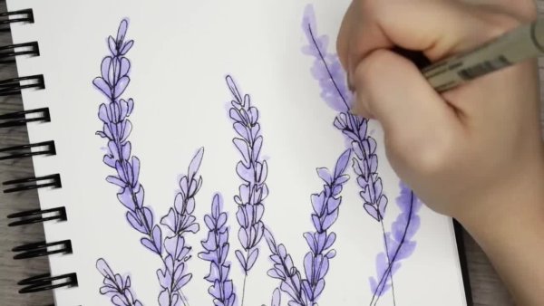 Шаблон букет лаванды