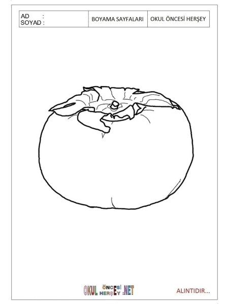 Хурма раскраска для детей