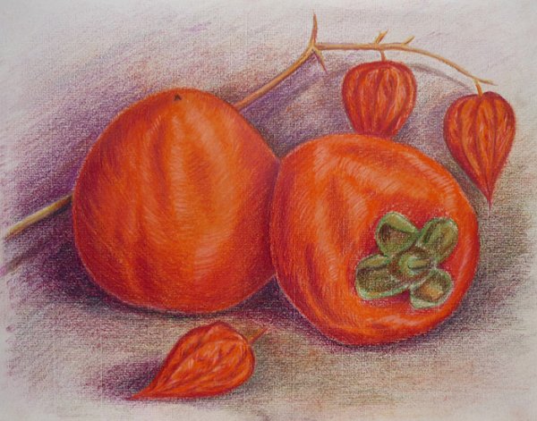 Хурма раскраска для детей