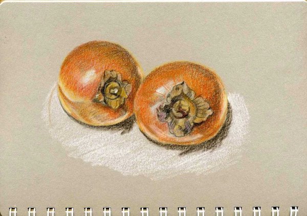 Хурма раскраска