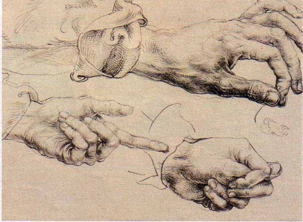 Альбрехт Дюрер руки