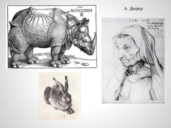Альбрехт Дюрер Бегемот