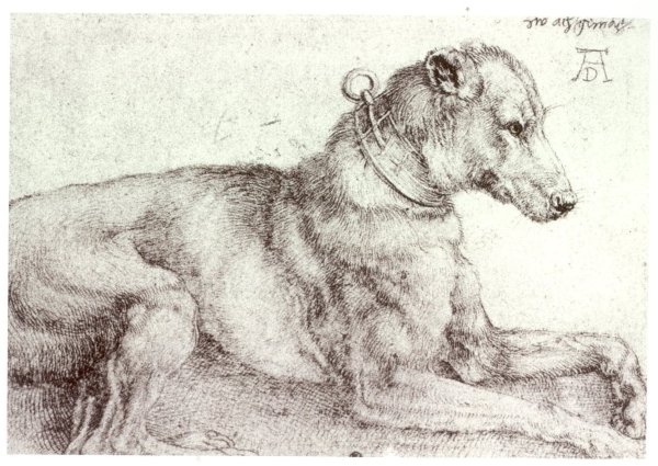 Альбрехт Дюрер анималистика