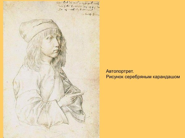Альбрехт Дюрер автопортрет 1484
