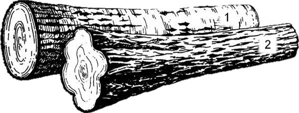 Бревно раскраска для детей