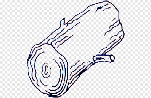 Бревно Графика