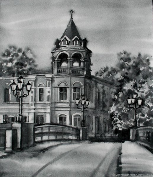 Каменный мост Воронеж 19 век