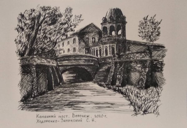 Каменный мост Воронеж картина