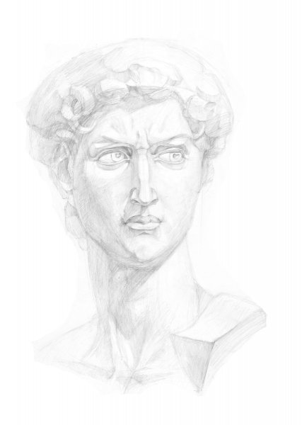 Антиной рисунок МАРХИ