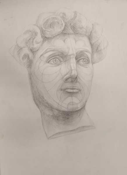 Нос Давида Академический рисунок