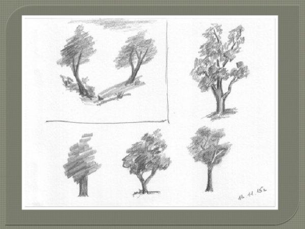 Зарисовки и Наброски деревьев с натуры