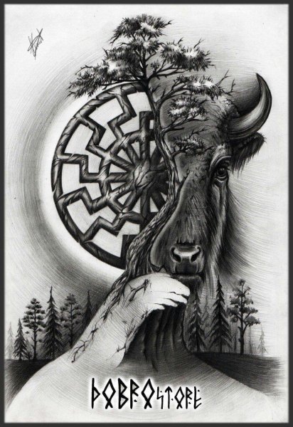 Звезда Руси звезда Сварога