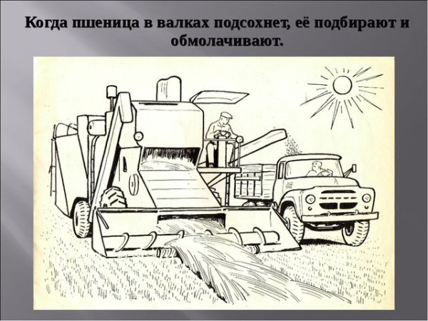 Раскраска Хлебороб для детей