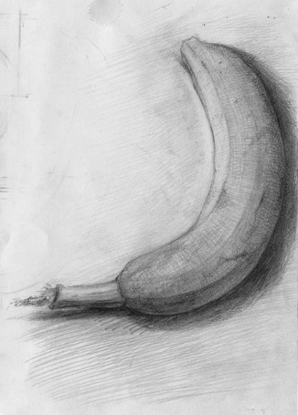 Нарисованный член карандашом