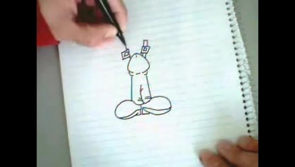 Член рисунок