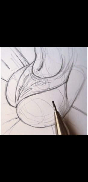 Рисунки карандашом