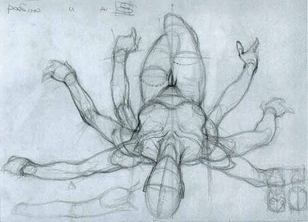 Рисование половых органов