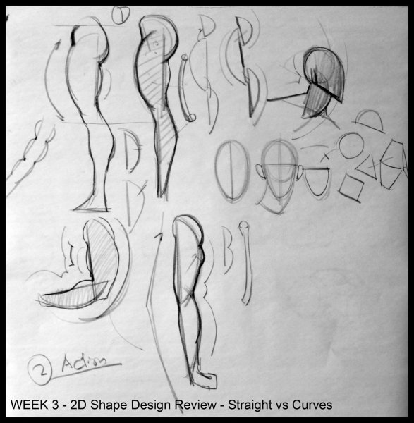 Рисование половых органов