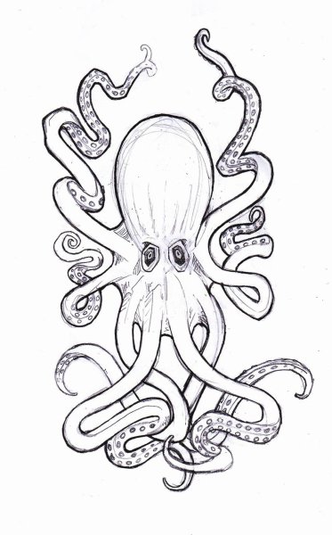 Кракен Кракен 2020